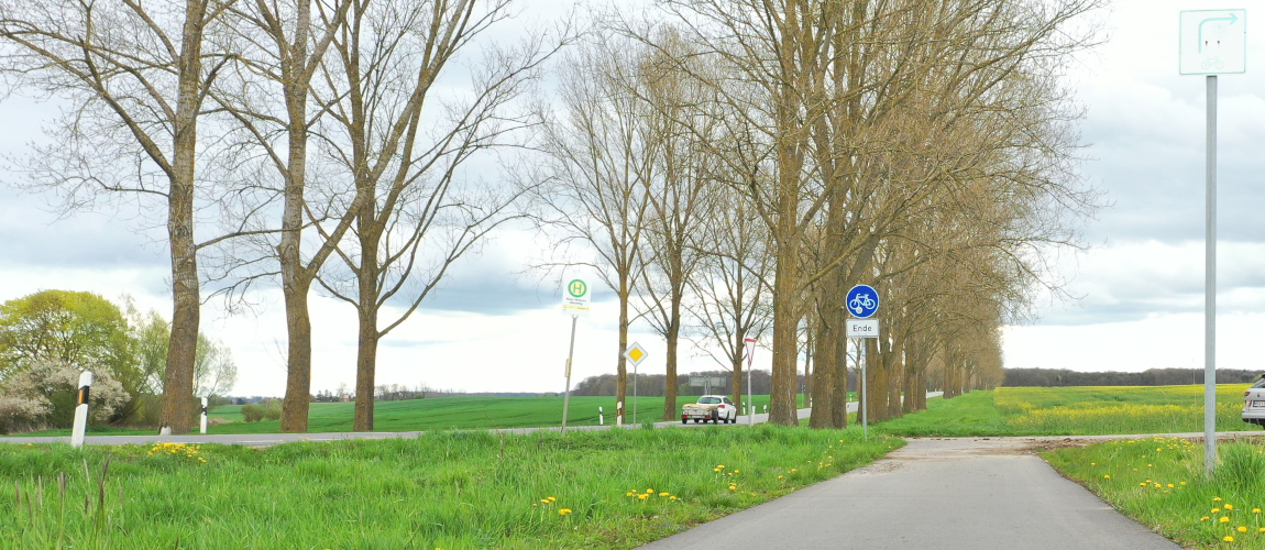 Ein Radweg führt an einer Straßenallee entlang und endet am nächsten Abzweig. Ein Schild weist auf das Ende des Radweges hin. 