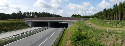 Die Grünbrücke Wredenhagen an der A 19 ist 2015 fertiggestellt worden. © STZ, Rostock