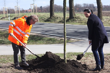 Verkehrsstaatssekretärin Ines Jesse und Dr. Thorsten Uhlig pflanzen eine Stieleiche. © strassen-mv.de