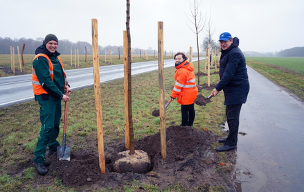 Verkehrsminister Reinhard Meyer setzt an der L04 bei Bobzin symbolisch einen Ahornbaum. © Wirtschaftsministerium