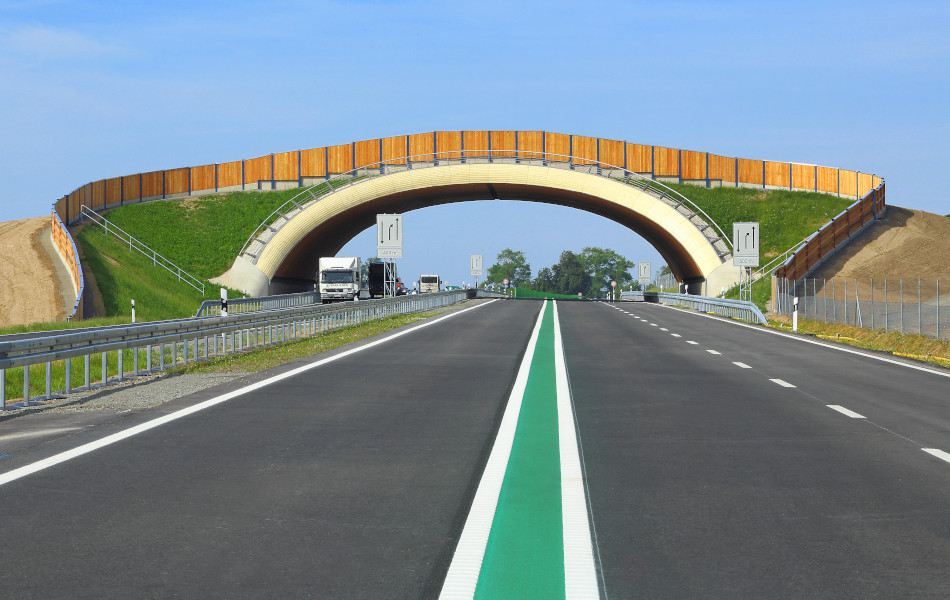 Über eine mehrspurige Straße erstreckt sich in einem Bogen eine Brücke, die begrünt ist und auf der mehrere Holzwände aneinandergereiht sind. 