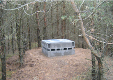 Einflugbereich nach dem Umbau