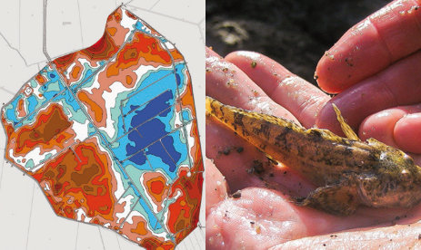 Reliefplan Bauermoor, Groppe