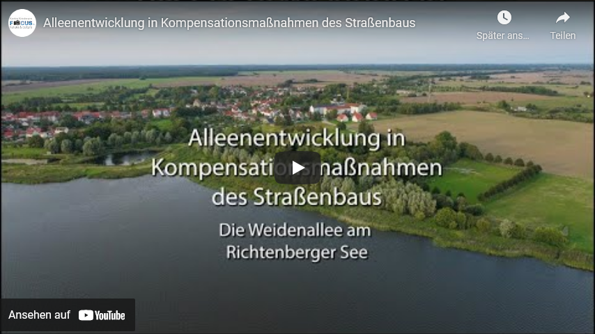 Video starten: Film "Alleenentwicklung in Kompensationsmaßnahmen des Straßenbaus" auf Youtube