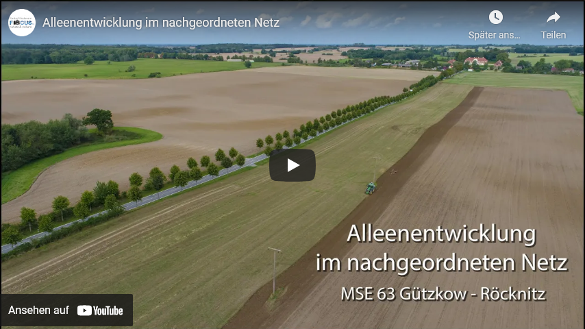 Video starten: Film "Alleenentwicklung im nachgeordneten Netz" auf Youtube