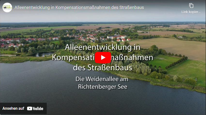 Video starten: Film "Wasserrückhaltung in Kompensationsmaßnahmen des Straßenbaus" auf Youtube