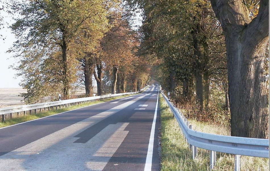 Landstraße mit beidseitiger Baumallee und Schutzplanken entlang der Fahrbahn; herbstliche Bäume, freier Blick entlang der Straße.