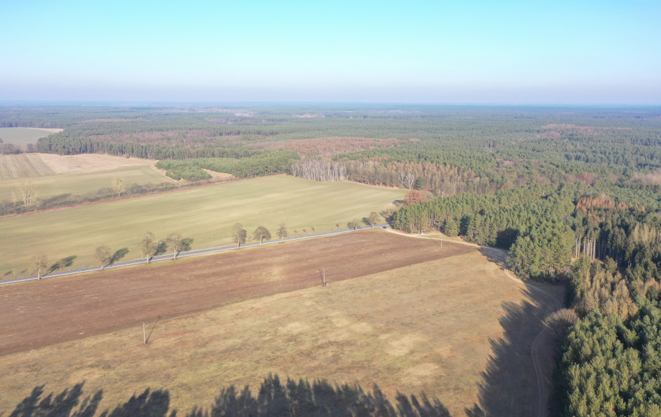Blick von oben über Felder und Wälder. Eine Straße, die B 198, führt an zwei Feldern vorbei in einen Wald.