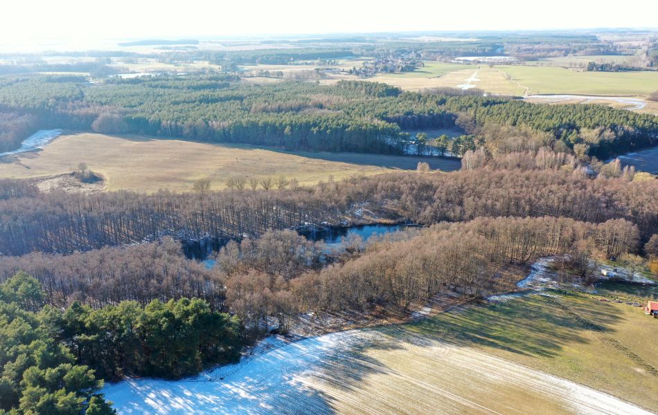 Blick von oben auf Wälder und Felder. Durch einen Wald fließt ein Gewässer. 