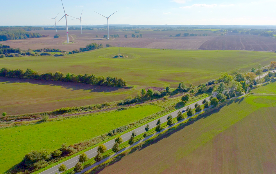 Blick aus luftiger Höhe auf eine Straße, an der Alleebäume stehen und die durch eine Felder-Landschaft führt. Links stehen auf einem Feld vier Windräder.