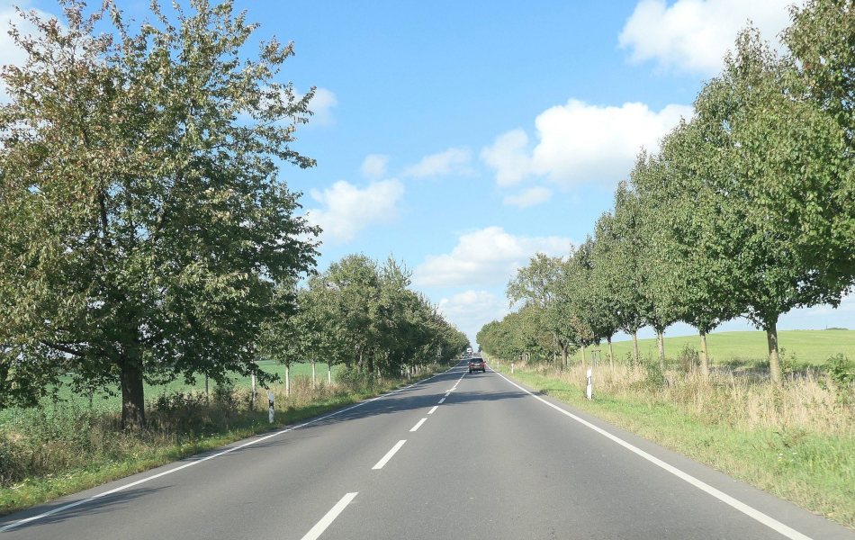 Leicht geschwungene Landstraße mit beidseitigen Baumreihen unter blauem Himmel, einzelne Fahrzeuge auf der Fahrbahn, grüne Felder im Hintergrund.