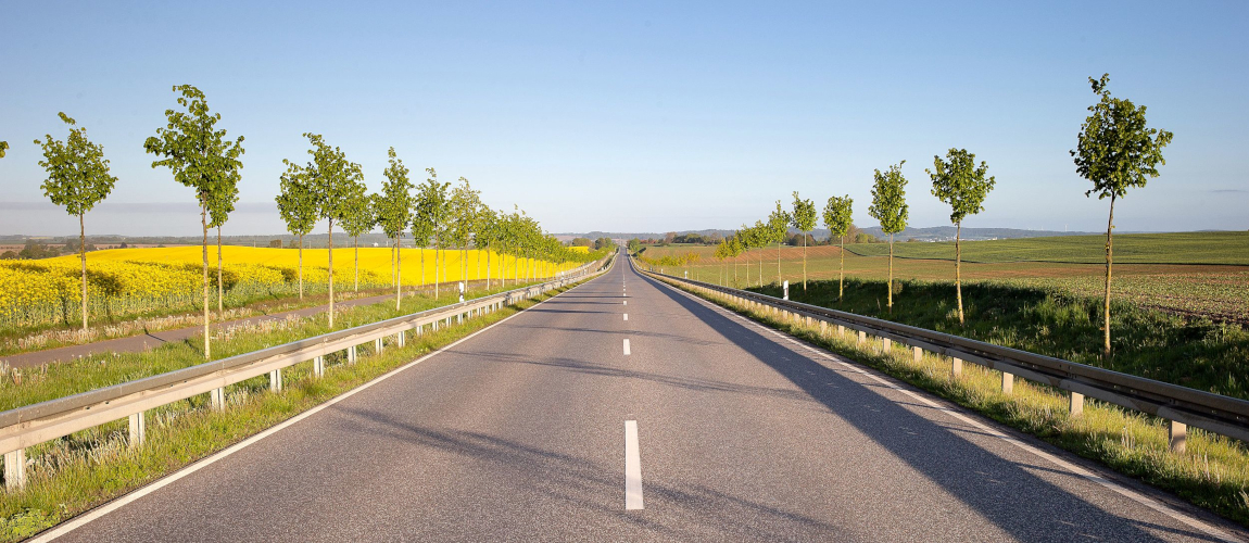 Gerade Landstraße mit jungen Baumreihen beidseits der Fahrbahn, gelbes Rapsfeld links und grüne Felder rechts, klare Sicht unter blauem Himmel.