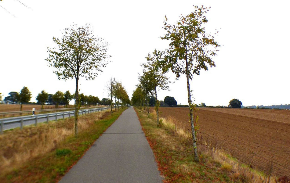 Gerader Radweg zwischen Feldern mit junger Baumreihe, links die Straße mit Leitplanke, rechts gepflügtes Ackerland unter hellem Himmel.