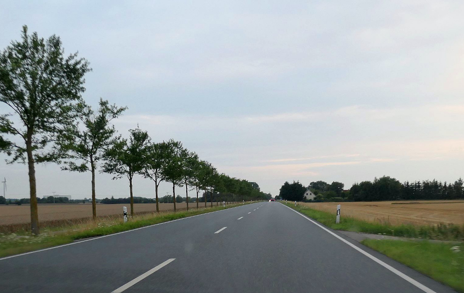 Gerade Landstraße mit junger Baumreihe beidseits der Fahrbahn, Felder mit Getreide und Höfe im Hintergrund unter grauem Himmel.