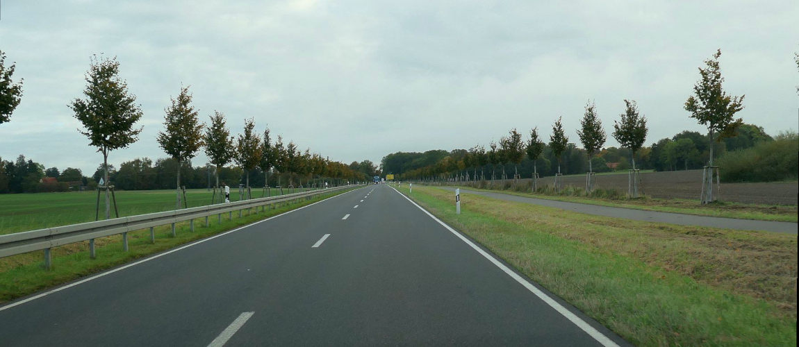 Gerade Landstraße mit junger Baumreihe auf beiden Seiten, begleitender Radweg und flache Felder unter grauem Himmel.