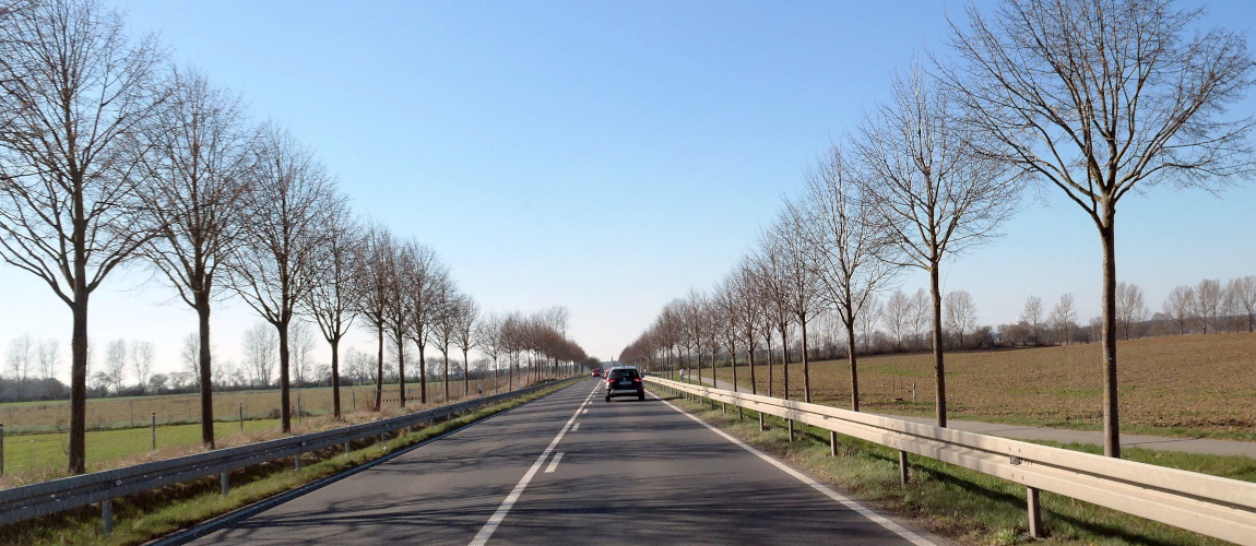 Landstraße mit beidseitiger junger Baumreihe, daneben offene Felder; im Hintergrund klarer Himmel und weiter Blick über die Landschaft.