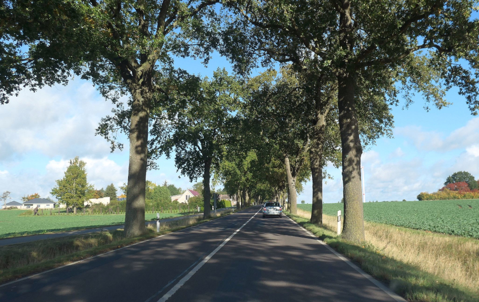 Landstraße mit durchgehender Baumreihe auf beiden Seiten, angrenzend offene Felder und vereinzelte Gebäude; im Hintergrund leichte Wolken und weiter Landschaftsblick.