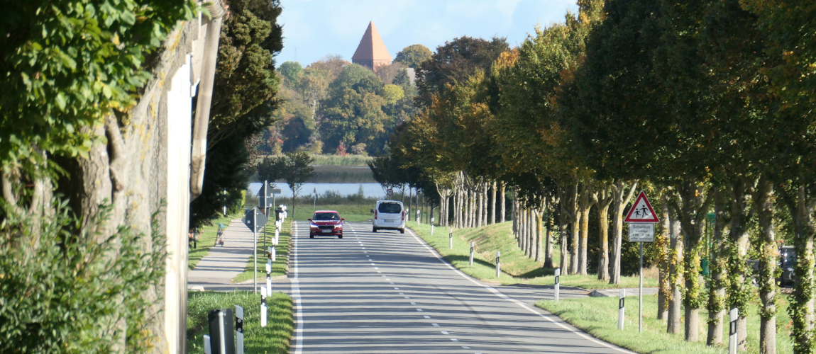 Landstraße mit Baumallee führt auf eine Ortschaft mit Kirchturm zu, Autos auf der Straße, herbstliche Landschaft und blauer Himmel.