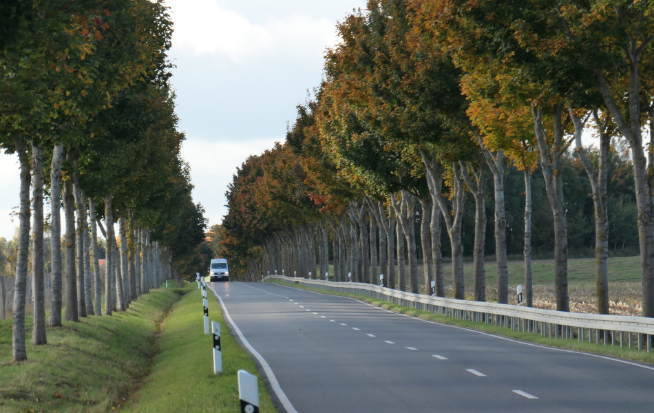 Baumgesäumte Landstraße mit leichtem Kurvenverlauf, ein weißer Transporter fährt in der Ferne, herbstliche Färbung der Bäume.