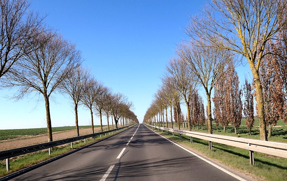 Gerade Landstraße mit Leitplanken und kahlen Baumreihen beidseits der Fahrbahn, klarer blauer Himmel und freie Sicht über Felder.