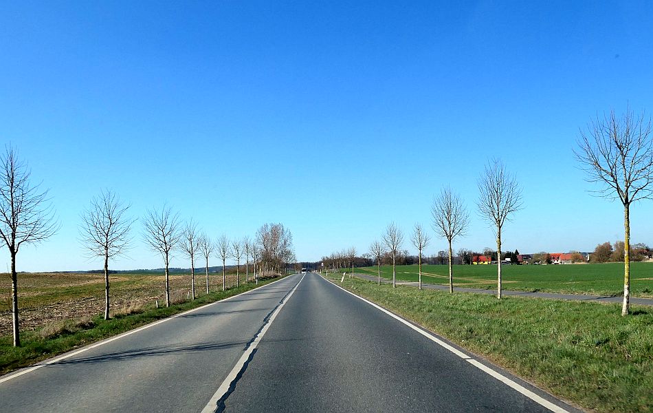 Offene Landstraße mit jungen Bäumen entlang der Fahrbahn, grüne und braune Felder, im Hintergrund einige Gebäude unter blauem Himmel.