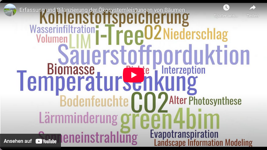 Video starten: LSBV Umweltschutz Alleen Video lang