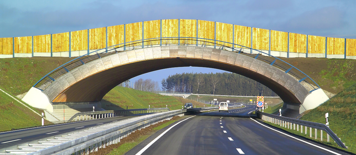 Eine Brücke aus gelben Holzwänden führt über die Bundesstraße 96n auf Rügen. © René Legrand / DEGES Eine Brücke aus gelben Holzwänden führt über die Bundesstraße 96n auf Rügen.