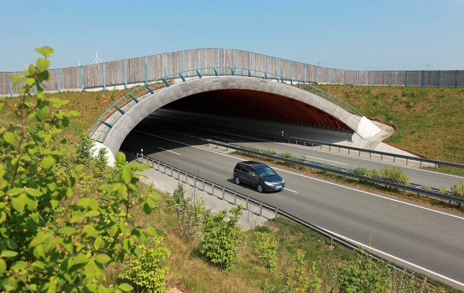 Eine Brücke aus Holzwänden führt über die Bundesstraße 96n auf Rügen.