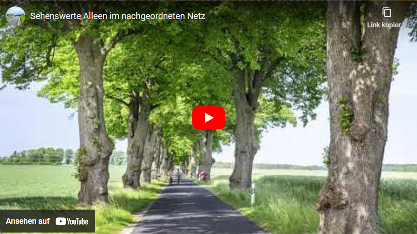 Video starten: Film "Sehenswerte Alleen im nachgeordneten Netz" auf Youtube